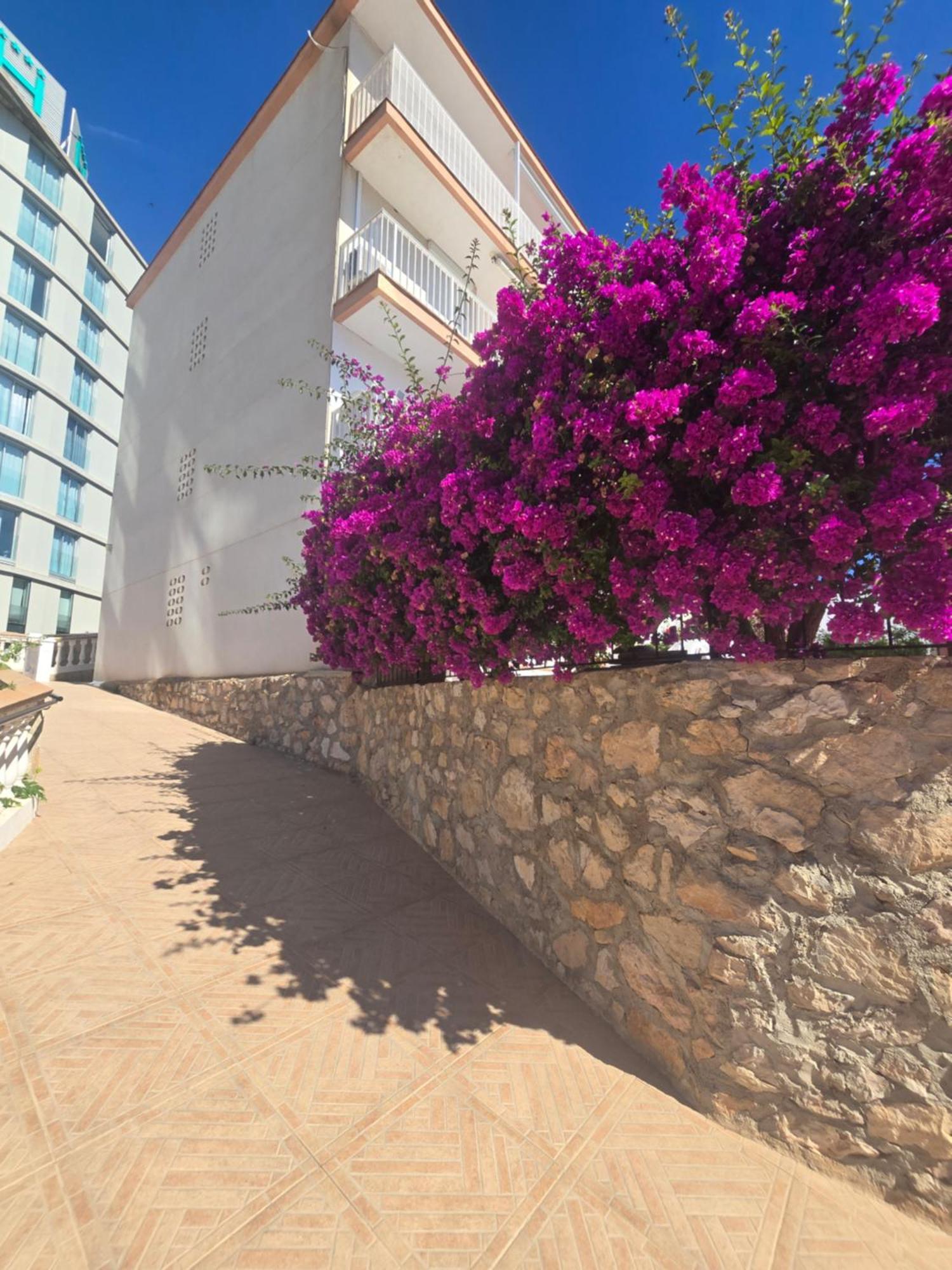 La Cantera Appartement Playa Peñíscola Exteriör bild
